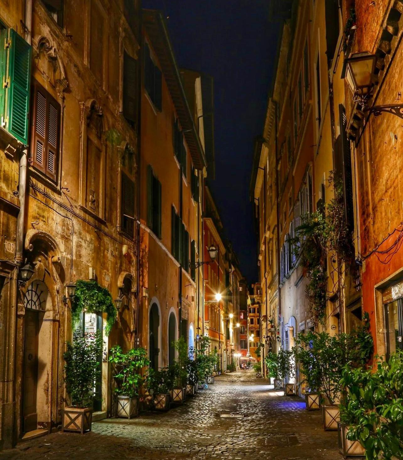 Spacious In Via Dei Coronari Appartamento *